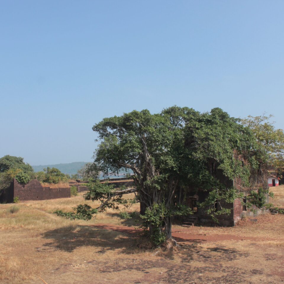 Sight-seeing in Ganapatiphule -- Jaigad Fort