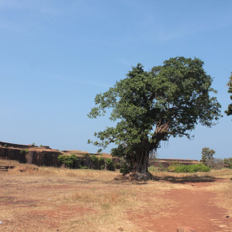 Sight-seeing in Ganapatiphule -- Jaigad Fort