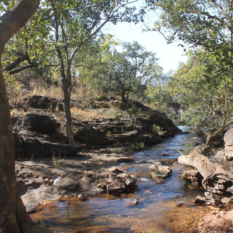 Sight seeing in Panchmarhi -- Bee Falls