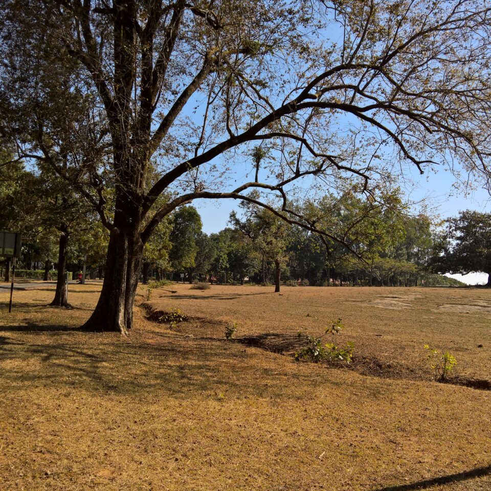 Sight seeing in Panchmarhi -- the town