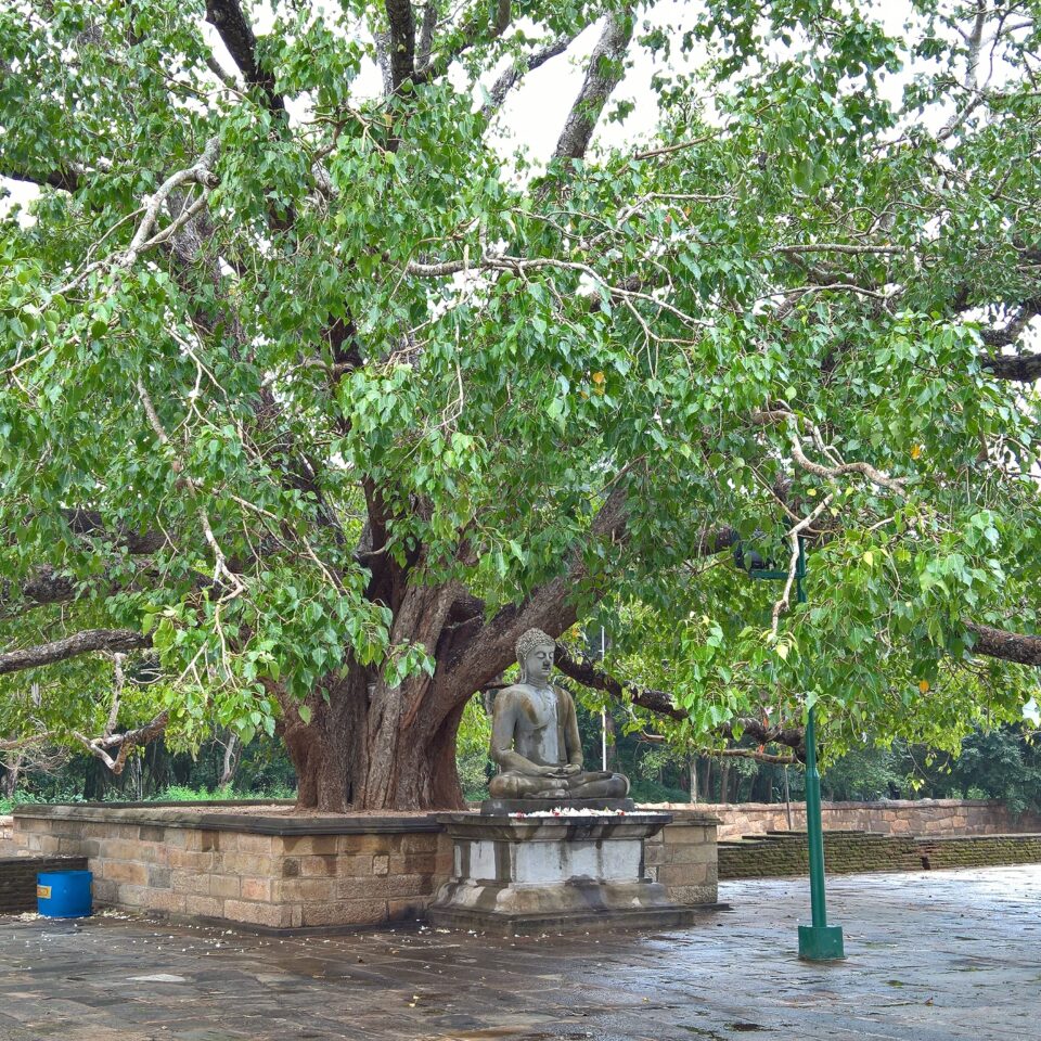 Tour of Anuradhapura, Sri Lanka