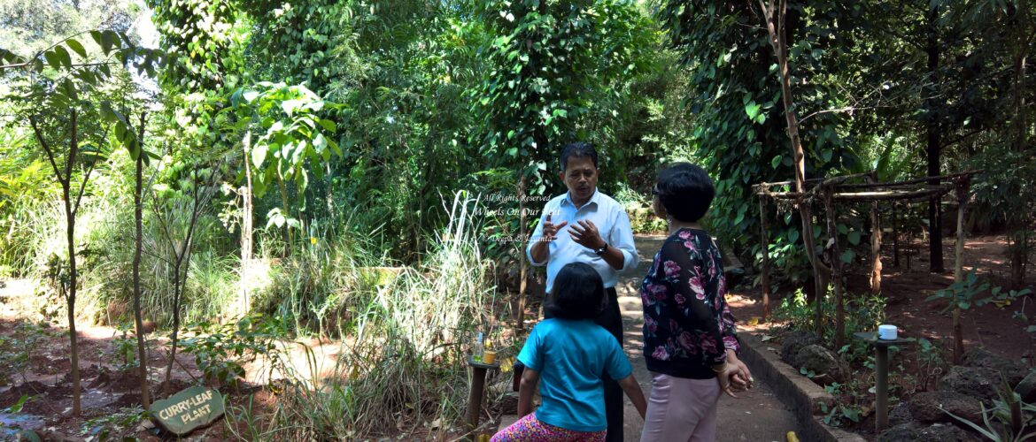 Spice Garden Tour in Sri Lanka