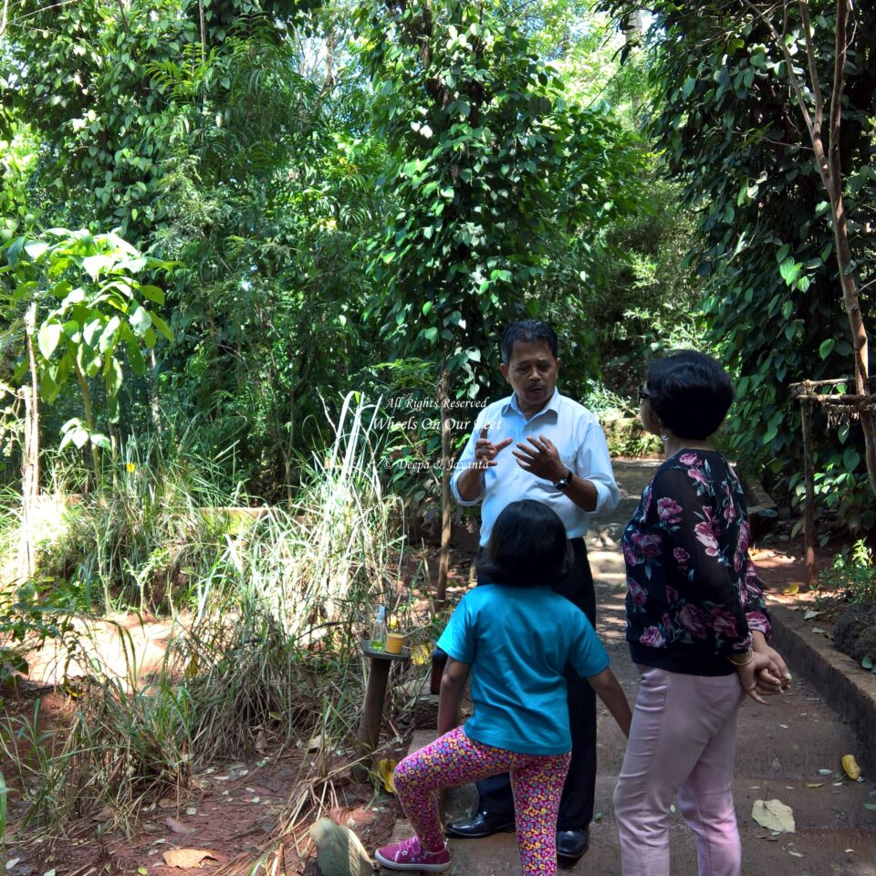 Spice Garden Tour in Sri Lanka