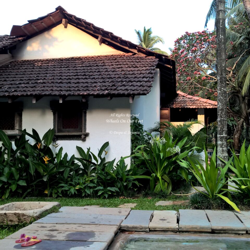 Vivienda Dos Palhacos, Homestay in Goa