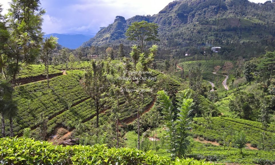 Drive from Kandy to Nuwara Eliya, Sri Lanka