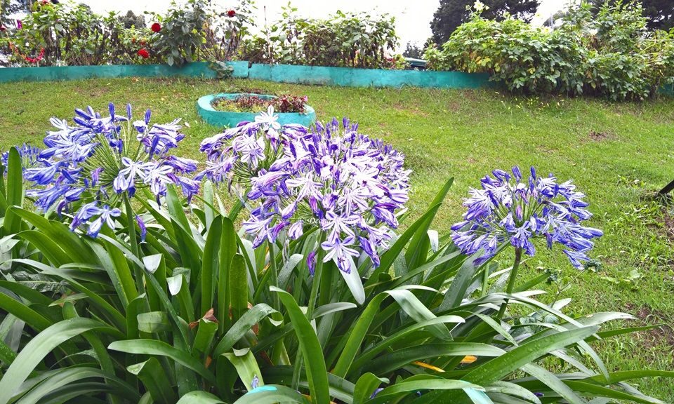 Sight-seeing in Nuwara Eliya, Sri Lanka