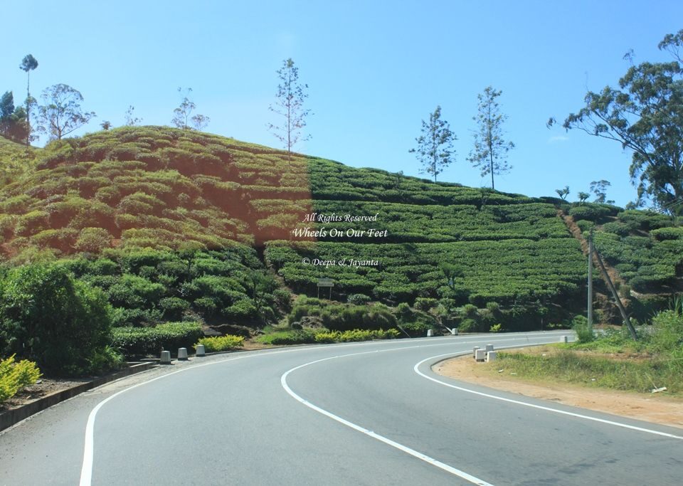 Drive from Nuwara Eliya to Unawatuna, Sri Lanka