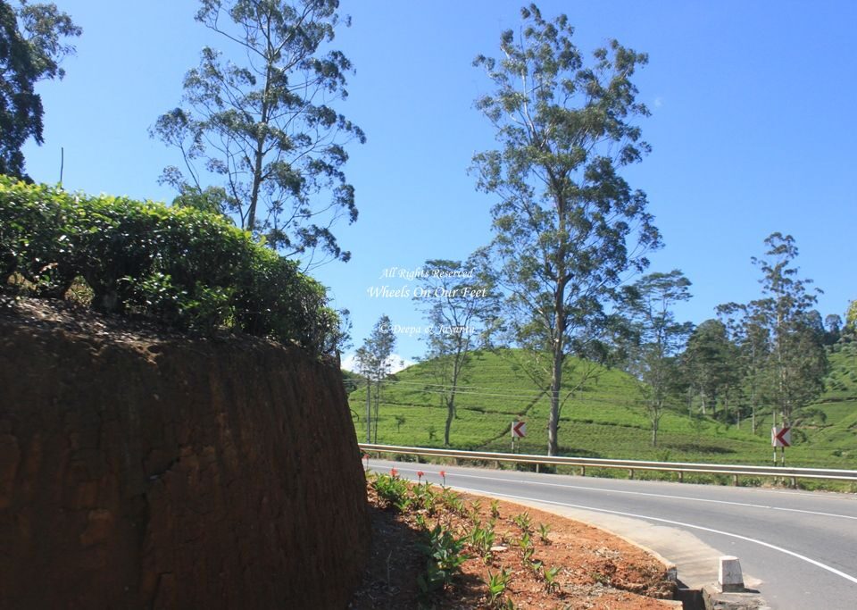 Drive from Nuwara Eliya to Unawatuna, Sri Lanka