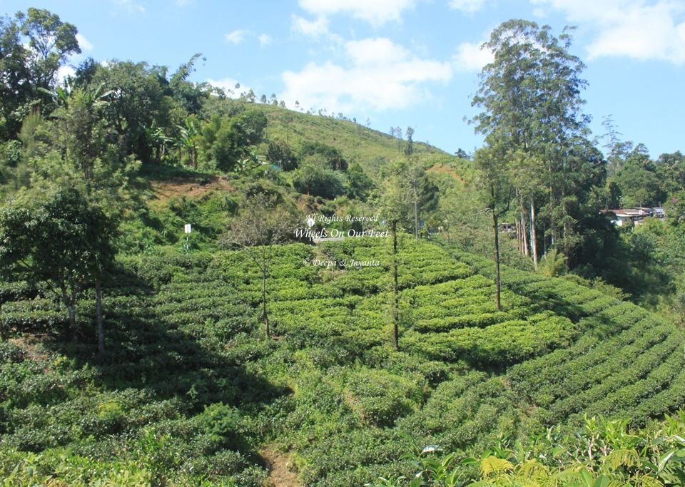 Drive from Nuwara Eliya to Unawatuna, Sri Lanka