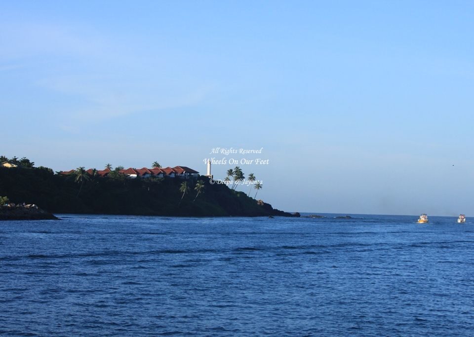 Whale Watching in Mirissa in Sri Lanka