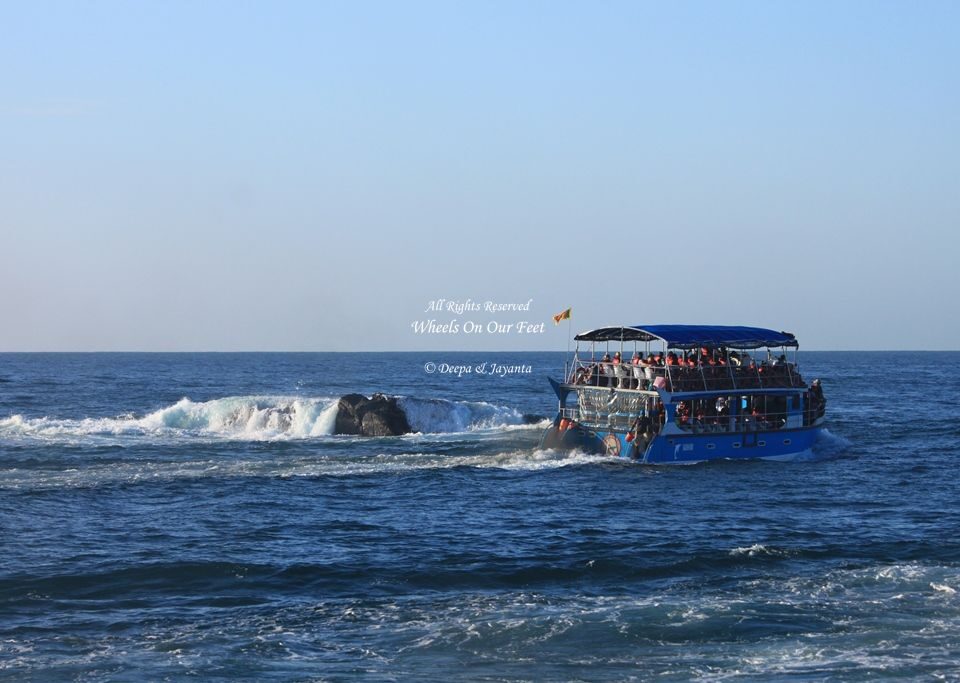 Whale Watching in Mirissa in Sri Lanka