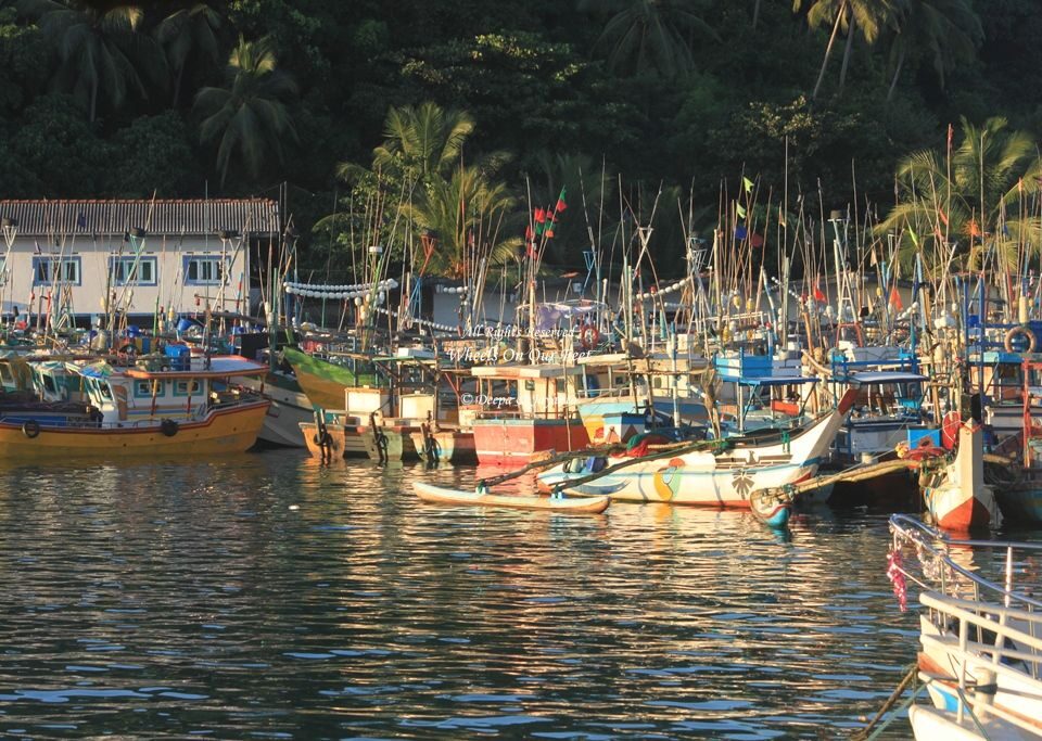 Whale Watching in Mirissa in Sri Lanka