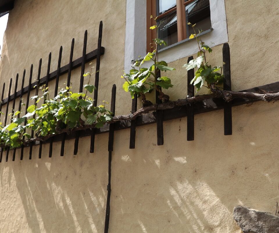 Tour of Durnstein, Austria